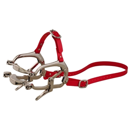 red strap horse speculum, high visibility equine gag