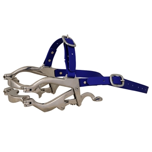 blue strap equine speculum, standard horse mouth gag